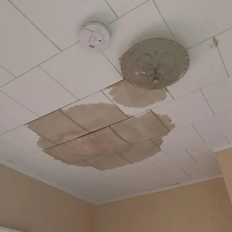 Ceiling Water Damage Repair in Menominee County, WI