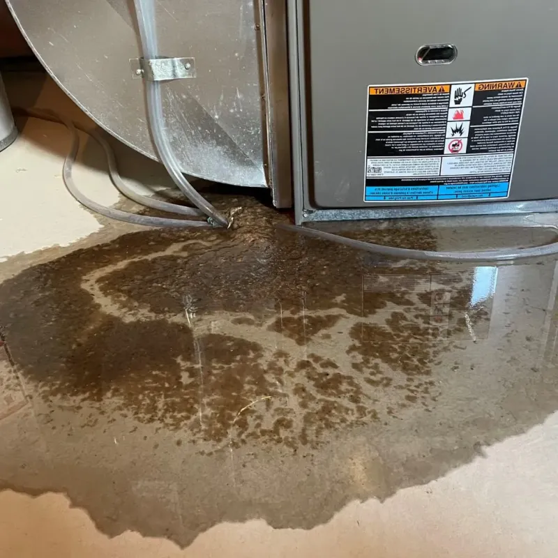 Pipe Burst and Leak Restoration in Menominee County, WI