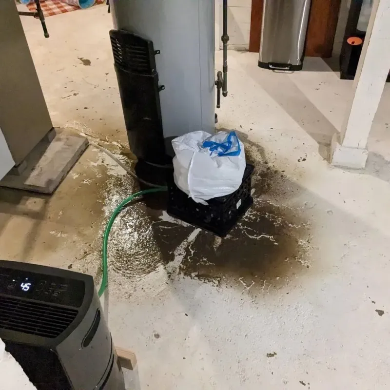 Sewage Backup Cleanup Service in Menominee County, WI